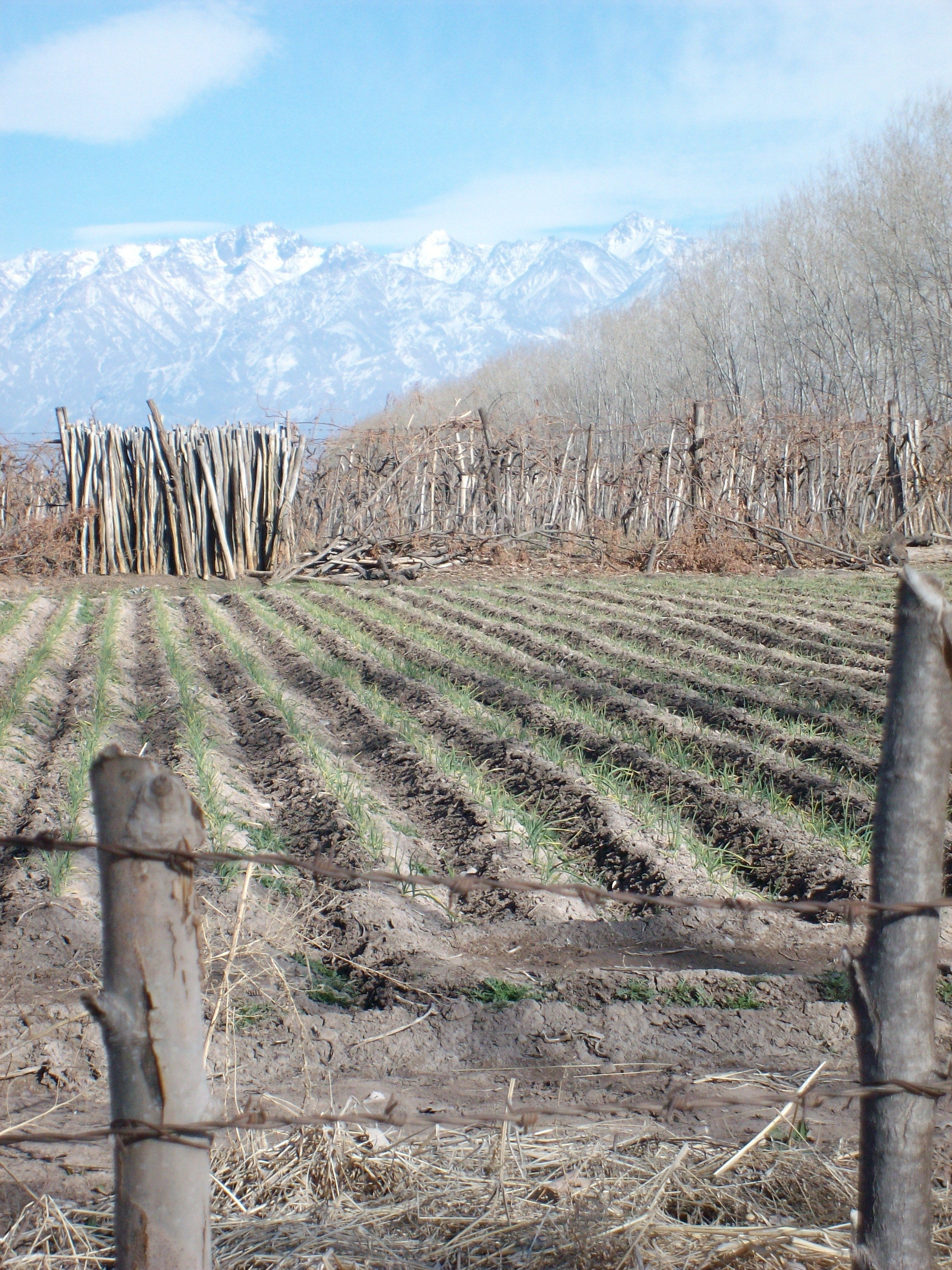 Paisaje Valle de Uco