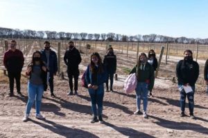 El Nivel Superior realizará un retorno gradual a la presencialidad