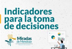 Indicadores para la toma de decisiones  – 2° Cohorte-