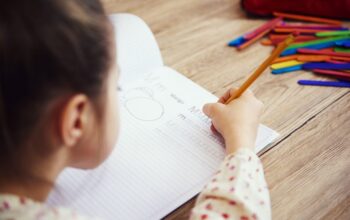 240 escuelas recibieron tutores del Nivel Superior para acompañar trayectorias debilitadas