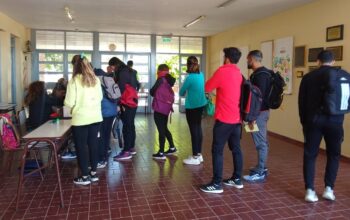 ¿Cómo se desarrollan los procesos electorales en IES estatales?