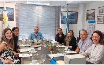 <strong><em>Mendoza a la cabecera en ofertas de Educación Superior Técnica</em></strong>