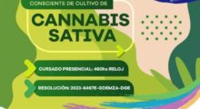 El IES 9-028 lanzó la formación profesional para encargado de cultivo de cannabis Sativa