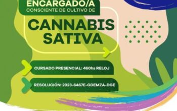 El IES 9-028 lanzó la formación profesional para encargado de cultivo de cannabis Sativa