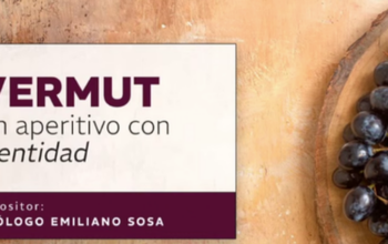 Educación Superior y el Centro Educativo Paula Souza realizaron un webinar sobre vermut