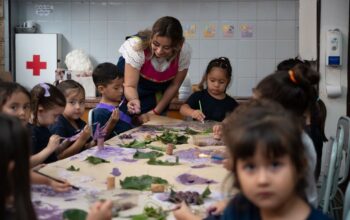 Educación Superior abre la inscripción a “Ambientes que enseñan: pedagogía Montessori y espacio educativo”